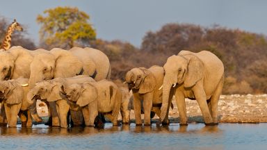 JAR – Namíbia – Botswana - Zimbabwe JAR – Namíbia – Botswana - Zimbabwe